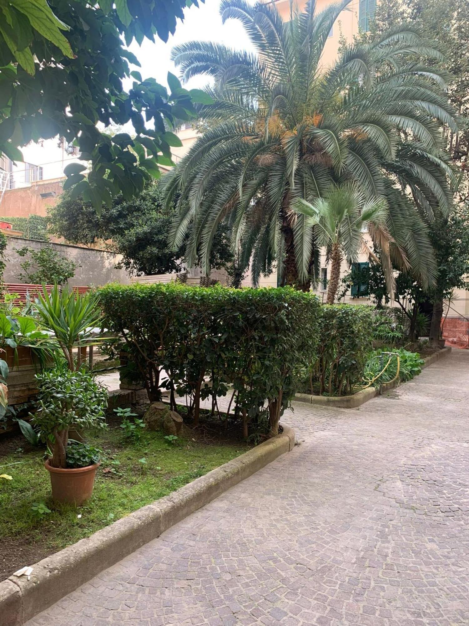 Candia Delizioso Appartamento Vicino Al Vaticano Roma Esterno foto